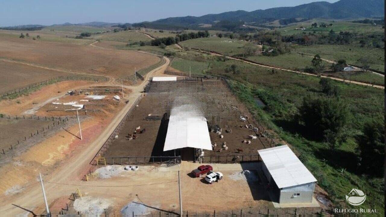 Fazenda à venda com 1 quarto, 2565200m² - Foto 5