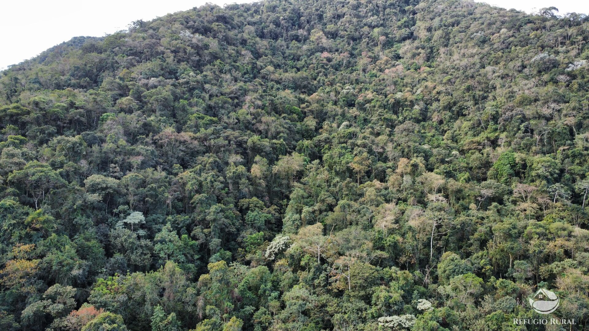 Fazenda à venda com 2 quartos, 4840000m² - Foto 10