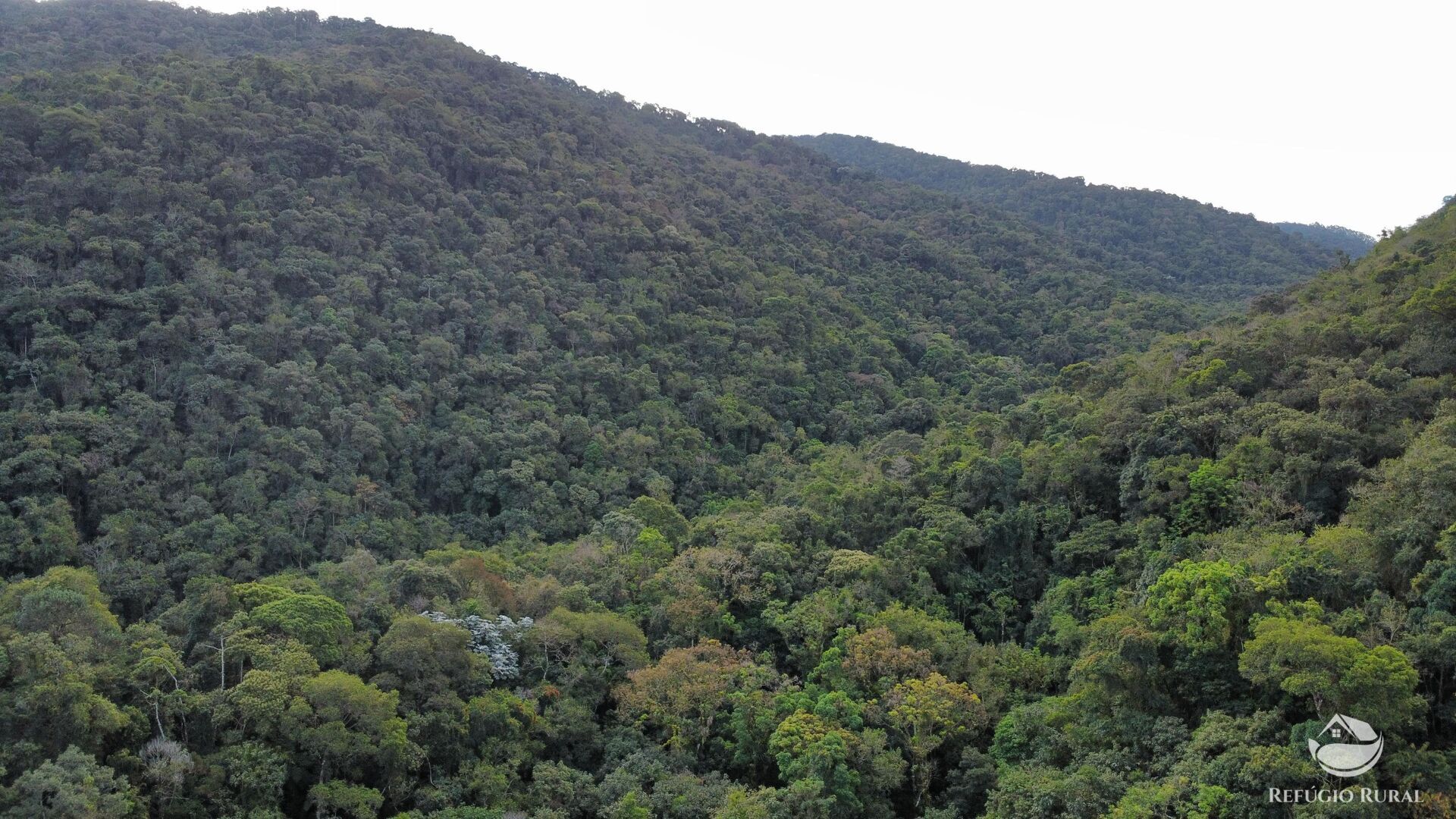 Fazenda à venda com 2 quartos, 4840000m² - Foto 4