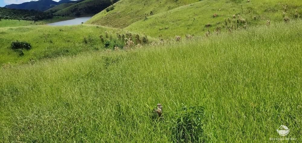 Fazenda, 338 hectares - Foto 10