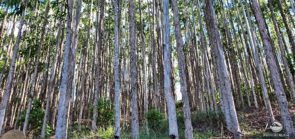 Fazenda, 338 hectares - Foto 14