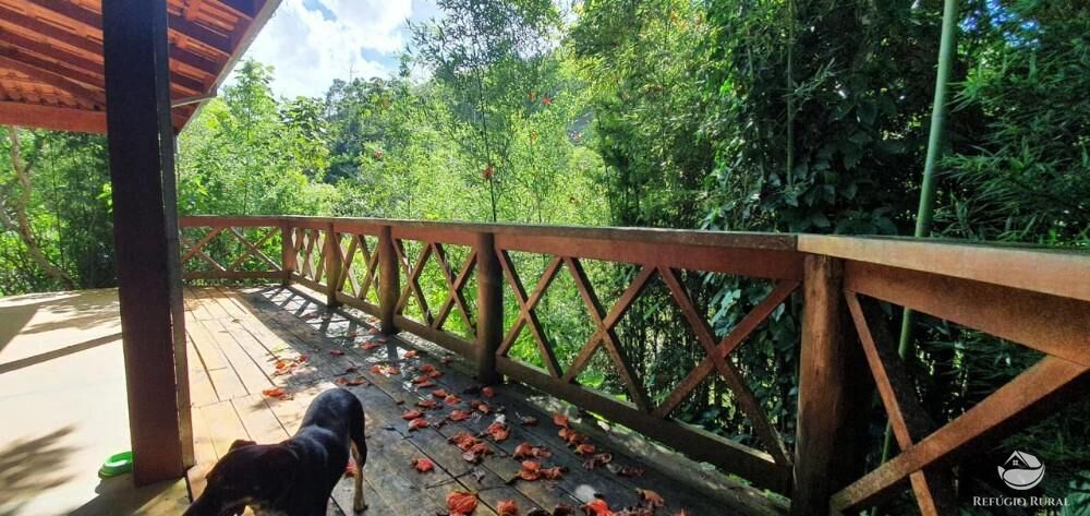 Fazenda, 338 hectares - Foto 8