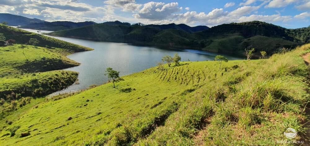 Fazenda, 338 hectares - Foto 4