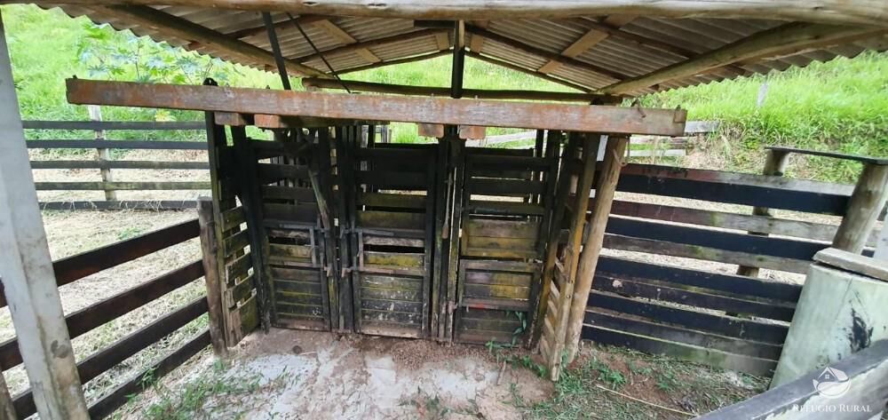 Fazenda, 338 hectares - Foto 18