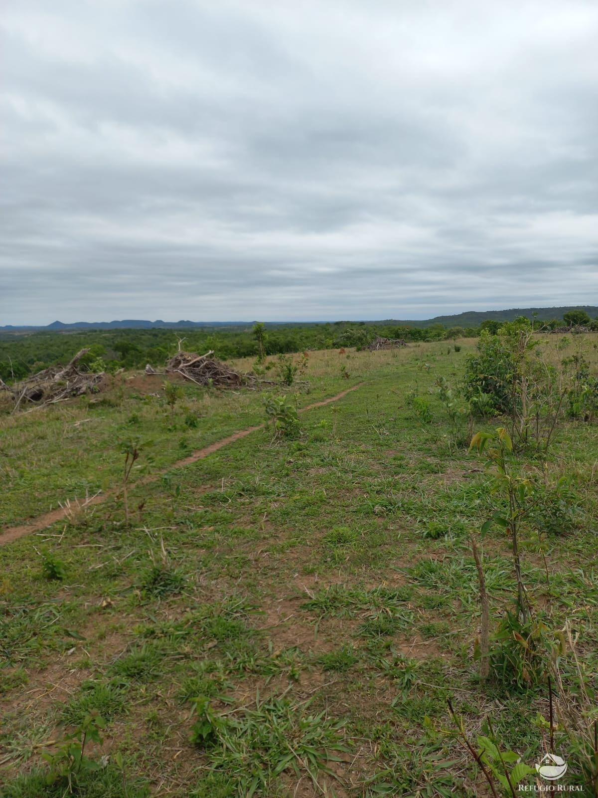 Fazenda à venda com 2 quartos, 7000000m² - Foto 2