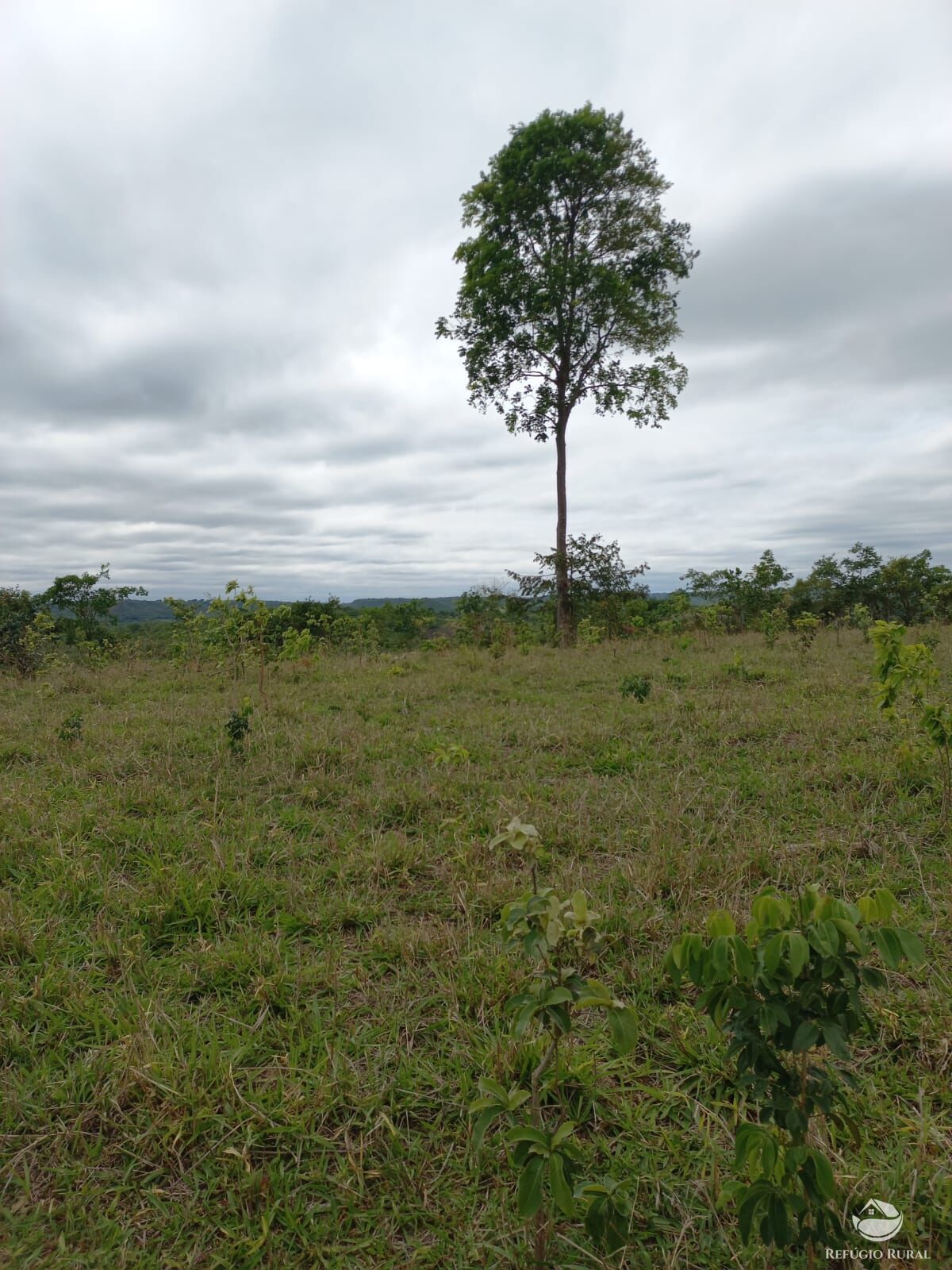 Fazenda à venda com 2 quartos, 7000000m² - Foto 1