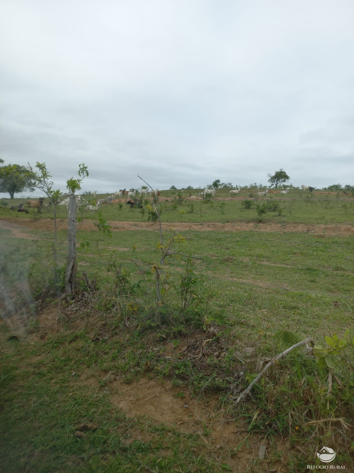 Fazenda à venda com 2 quartos, 7000000m² - Foto 3