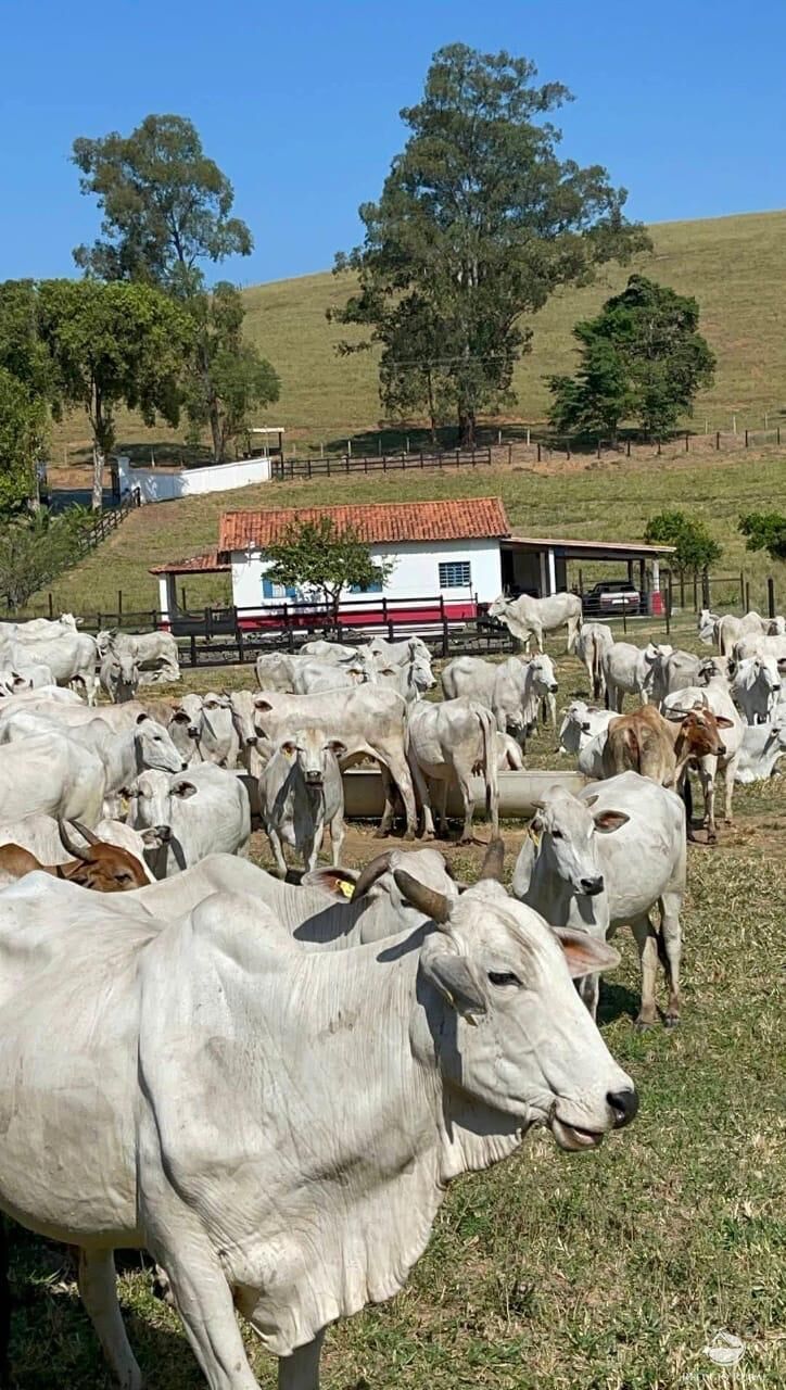 Fazenda à venda com 35 quartos, 26620000m² - Foto 11
