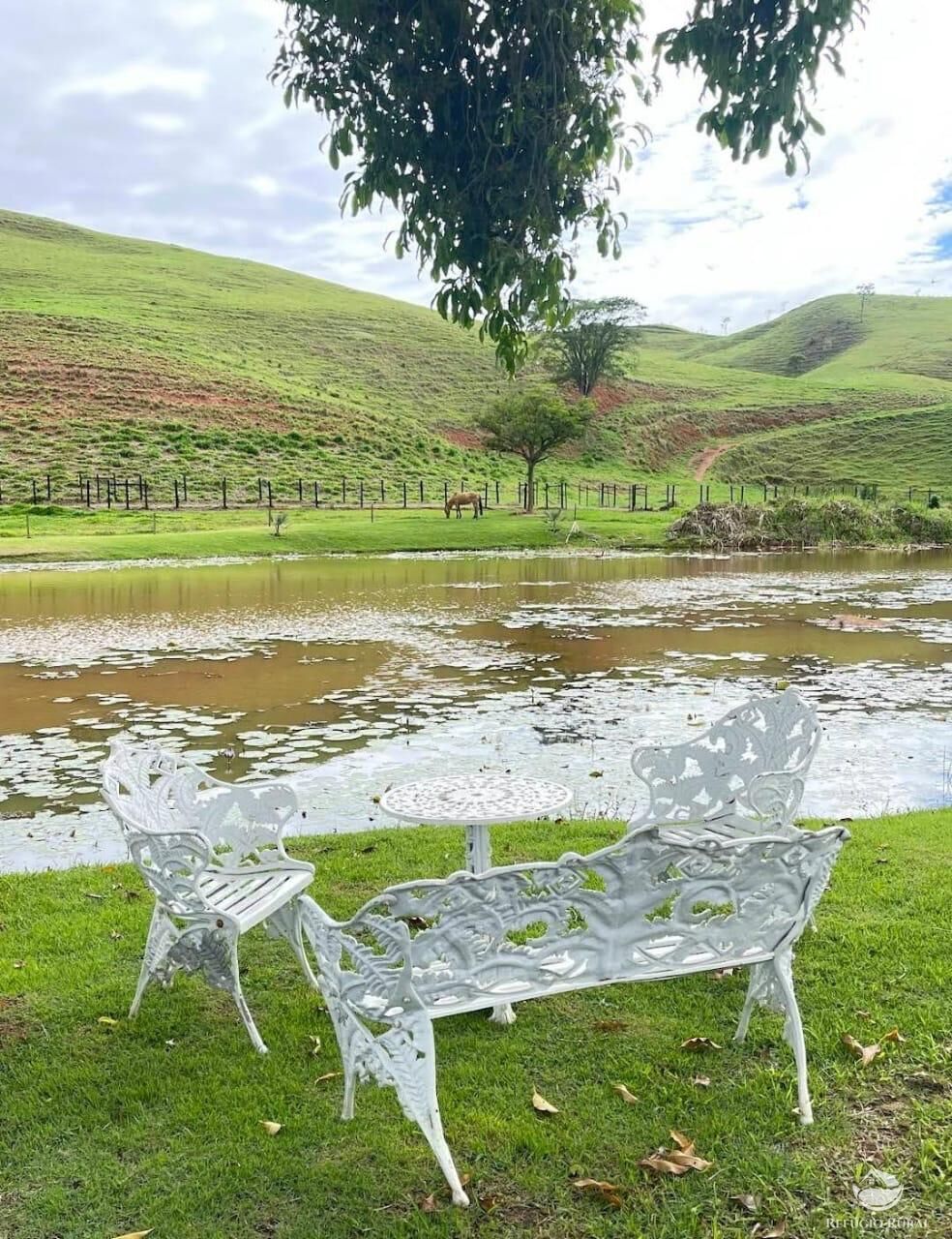 Fazenda à venda com 35 quartos, 26620000m² - Foto 22