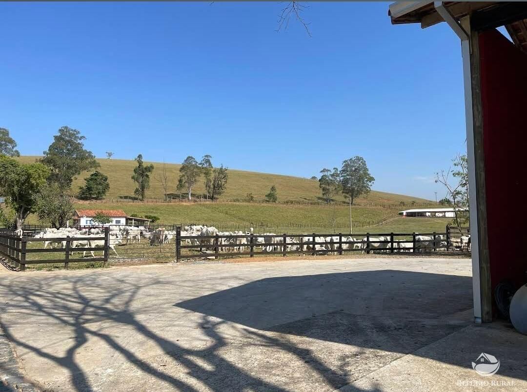 Fazenda à venda com 35 quartos, 26620000m² - Foto 10