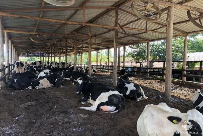 Fazenda à venda com 35 quartos, 26620000m² - Foto 16