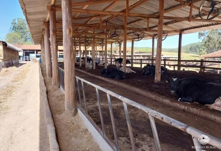 Fazenda à venda com 35 quartos, 26620000m² - Foto 13