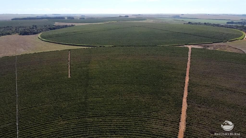 Fazenda, 1000 hectares - Foto 19