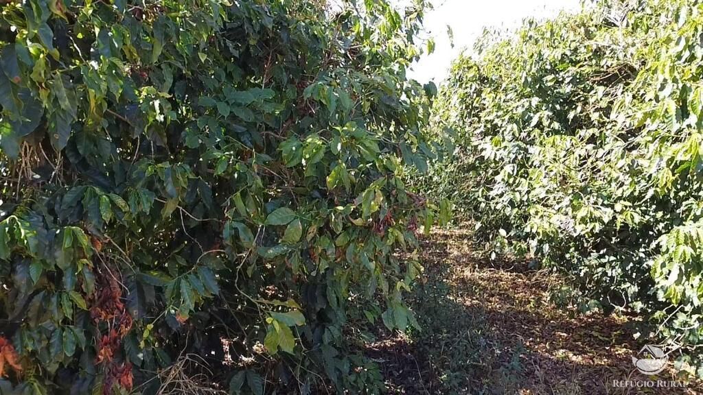 Fazenda, 1000 hectares - Foto 25