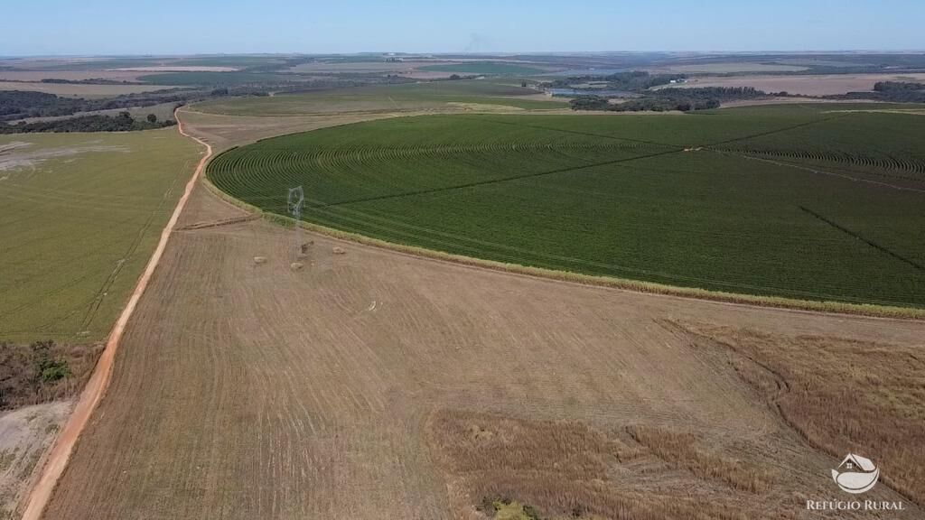 Fazenda, 1000 hectares - Foto 16