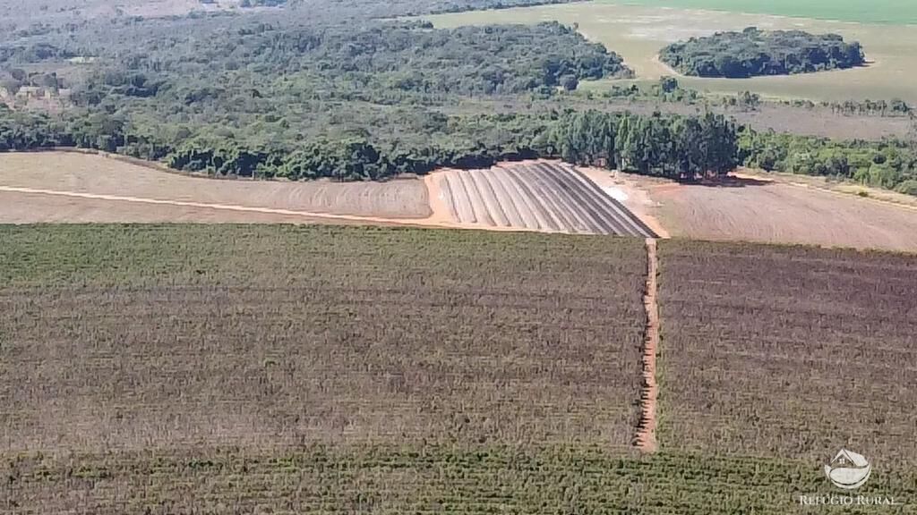 Fazenda, 1000 hectares - Foto 13