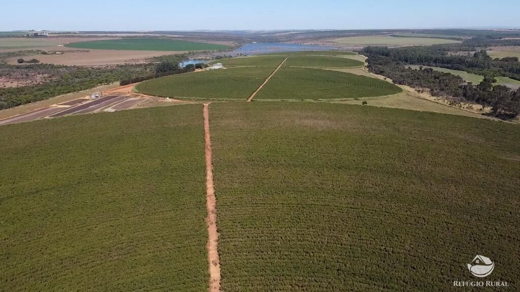 Fazenda, 1000 hectares - Foto 14