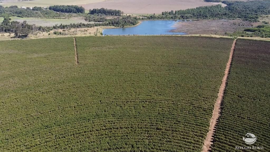 Fazenda, 1000 hectares - Foto 15