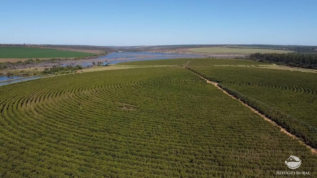 Fazenda, 1000 hectares - Foto 21