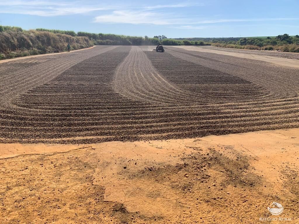 Fazenda, 1000 hectares - Foto 11