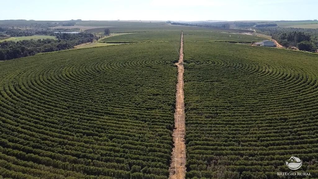 Fazenda, 1000 hectares - Foto 23