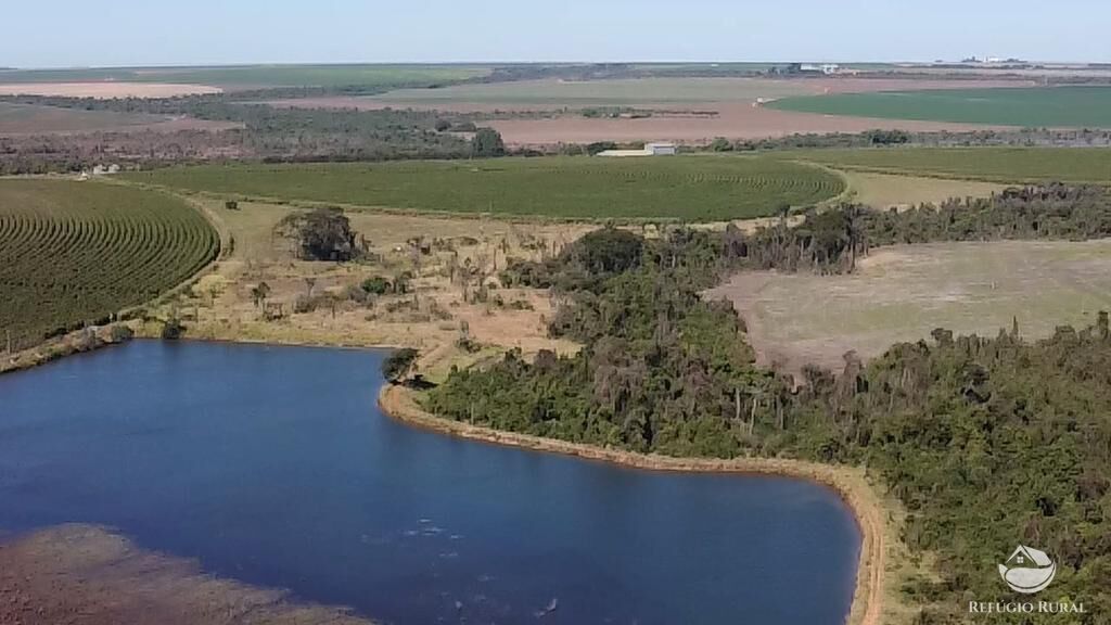 Fazenda, 1000 hectares - Foto 17