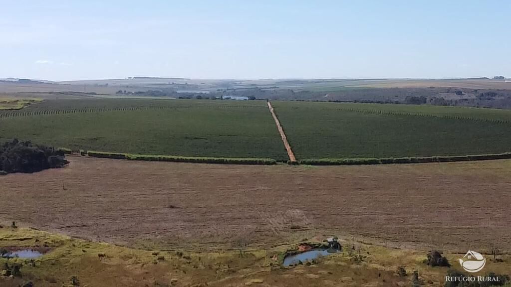 Fazenda, 1000 hectares - Foto 18