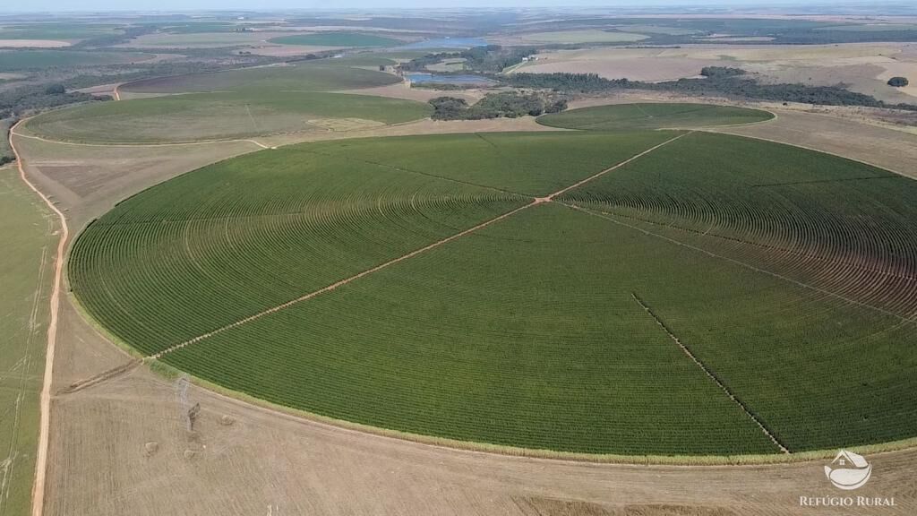 Fazenda, 1000 hectares - Foto 6