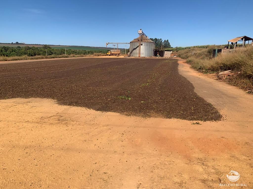 Fazenda, 1000 hectares - Foto 9