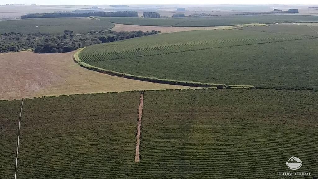 Fazenda, 1000 hectares - Foto 7