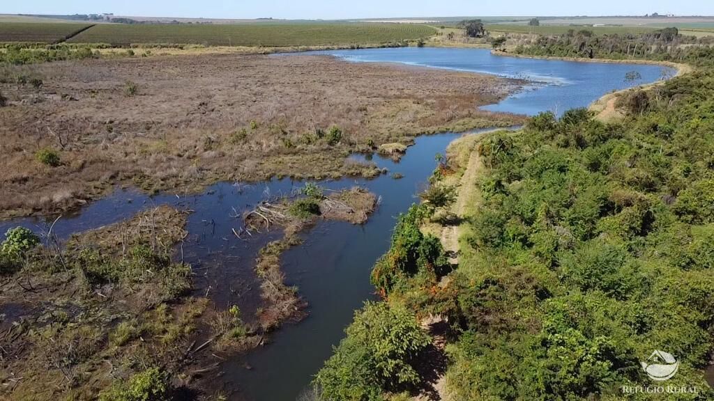 Fazenda, 1000 hectares - Foto 3
