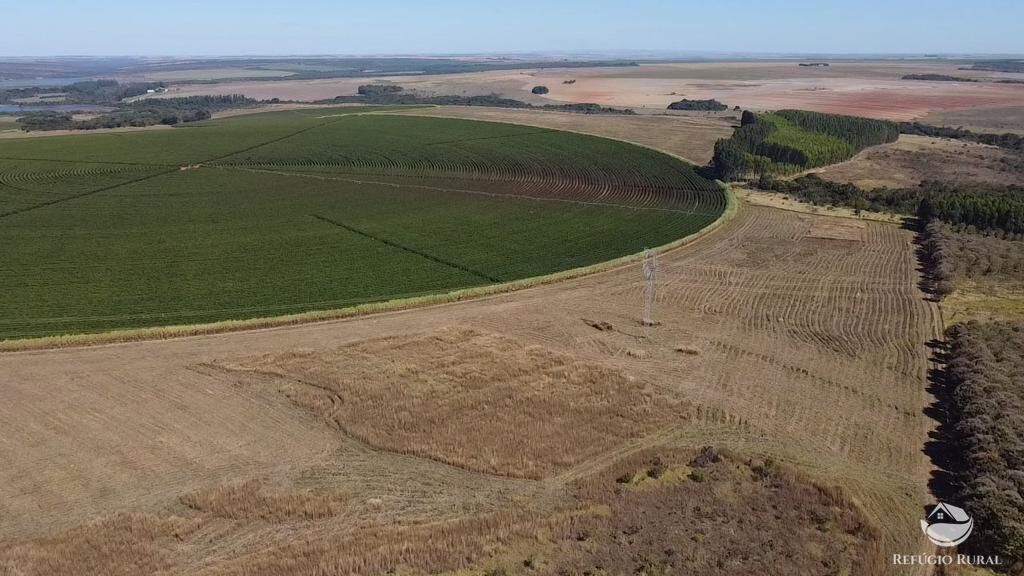 Fazenda, 1000 hectares - Foto 12