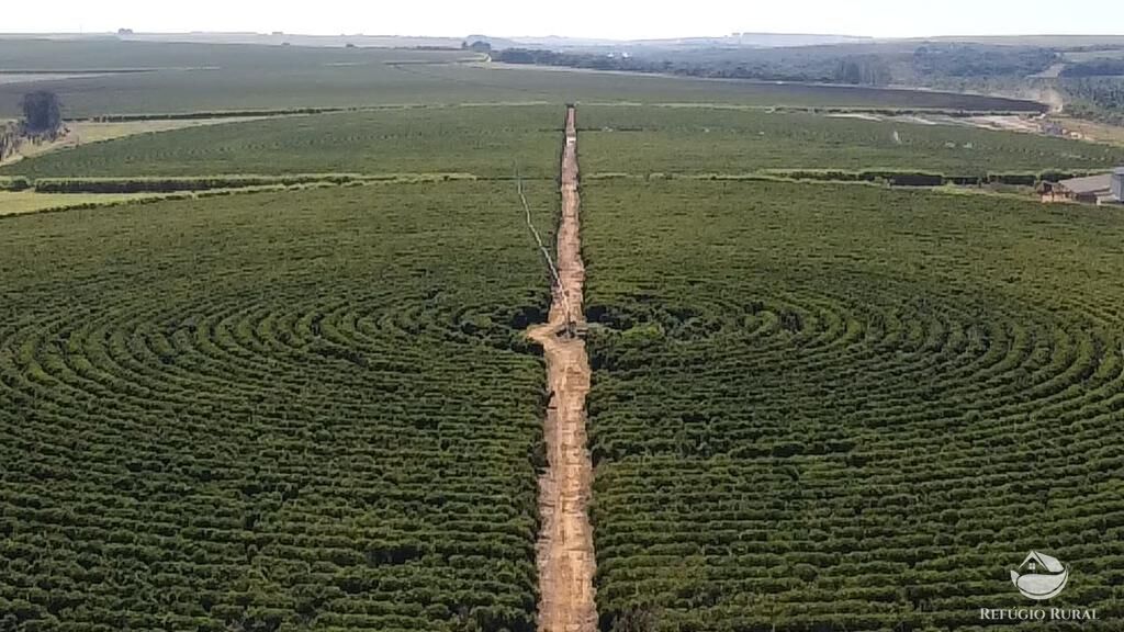 Fazenda, 1000 hectares - Foto 24