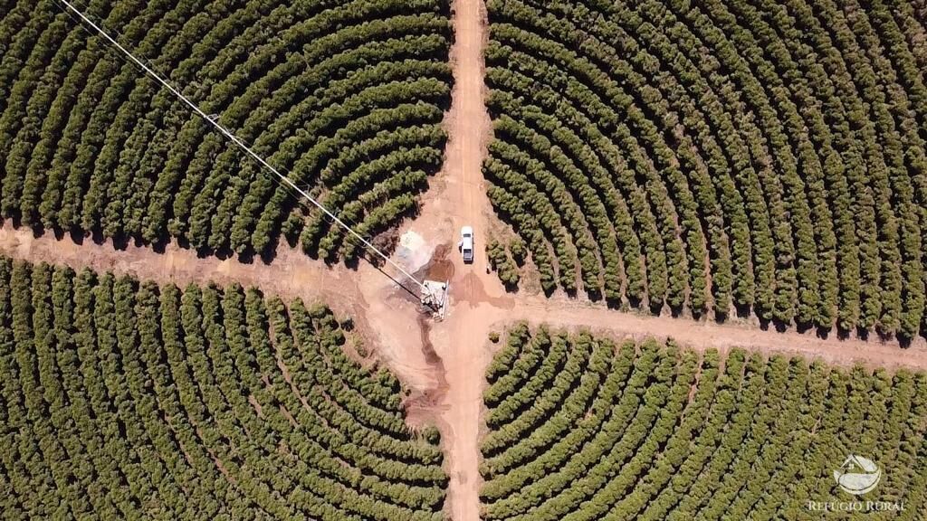 Fazenda, 1000 hectares - Foto 4