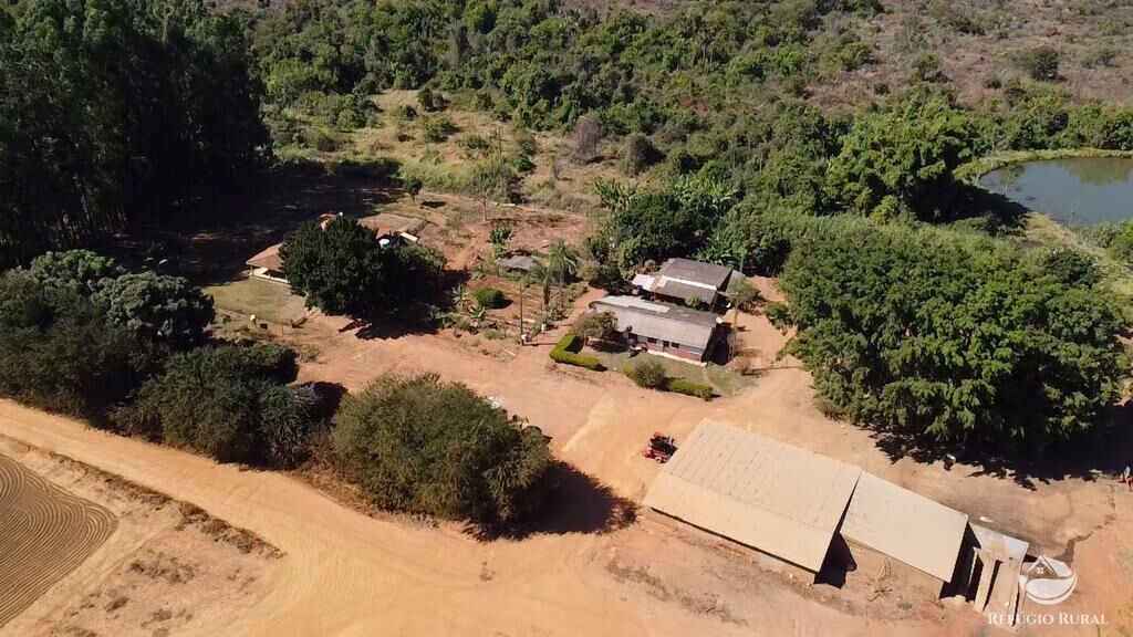 Fazenda, 1000 hectares - Foto 1