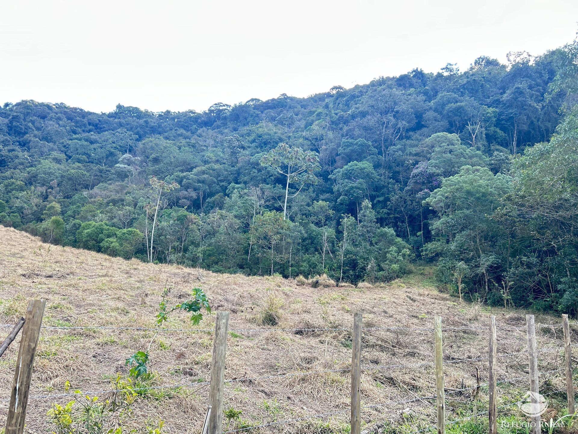 Terreno à venda, 72600m² - Foto 8