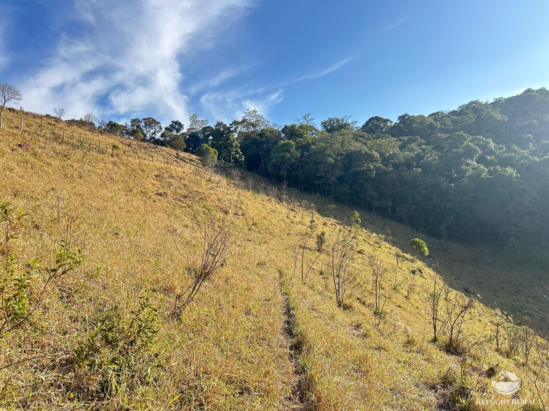 Terreno à venda, 72600m² - Foto 19