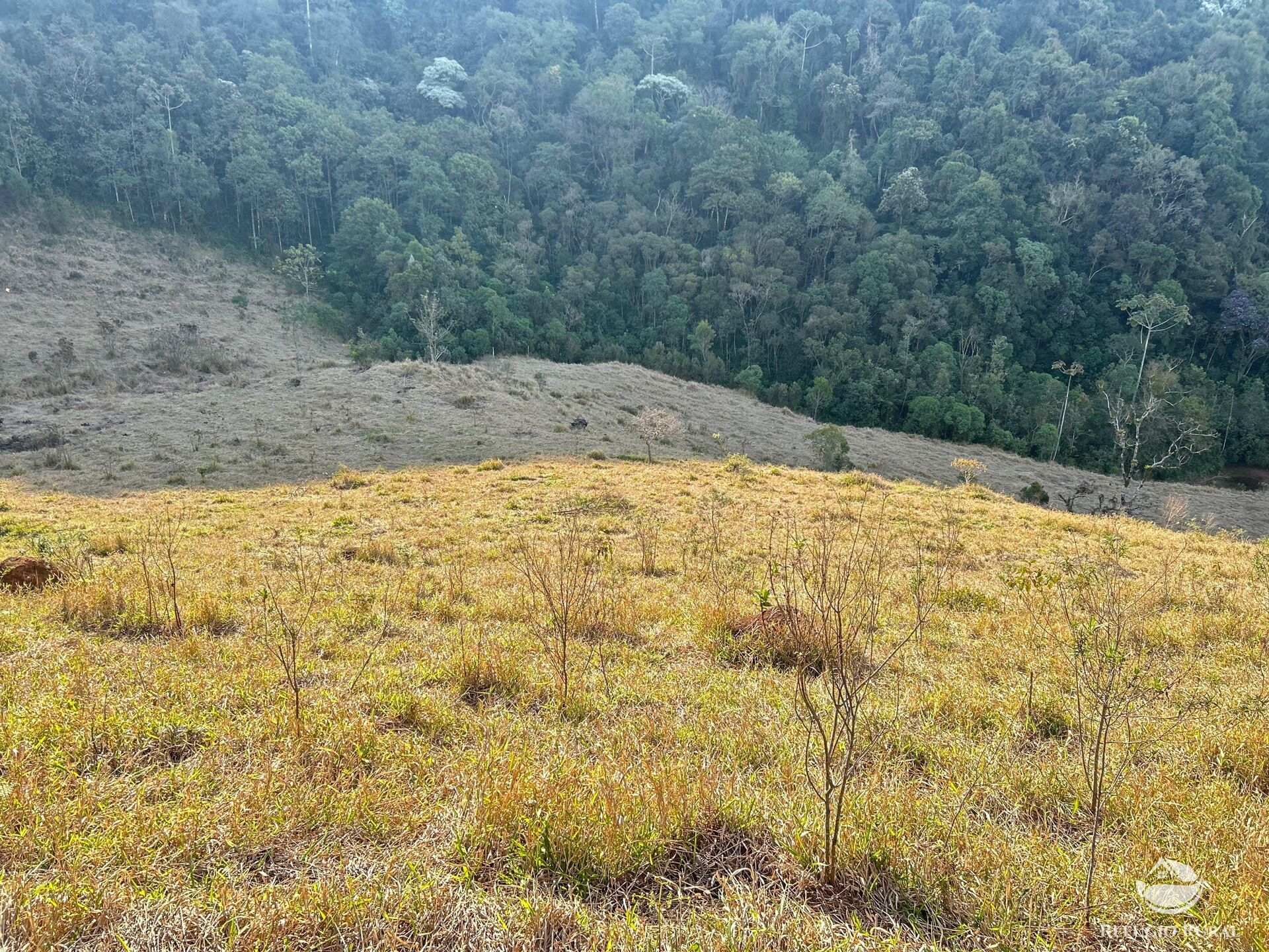Terreno à venda, 72600m² - Foto 15
