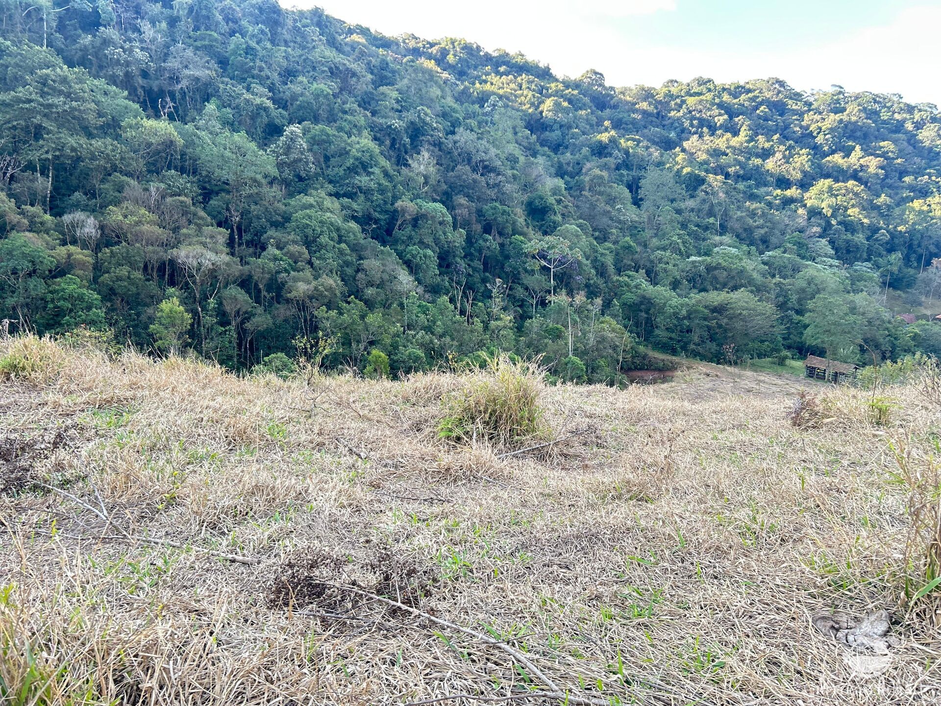 Terreno à venda, 72600m² - Foto 20