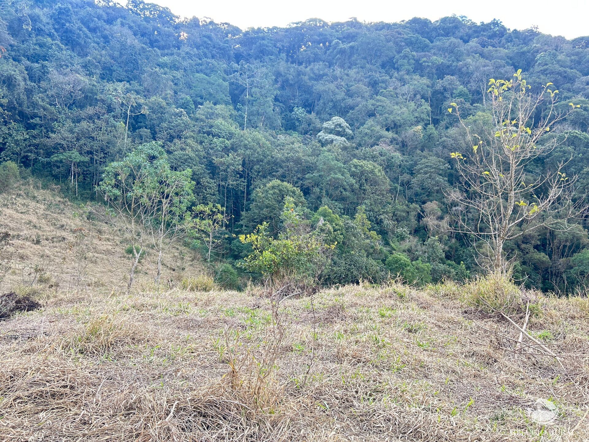 Terreno à venda, 72600m² - Foto 16