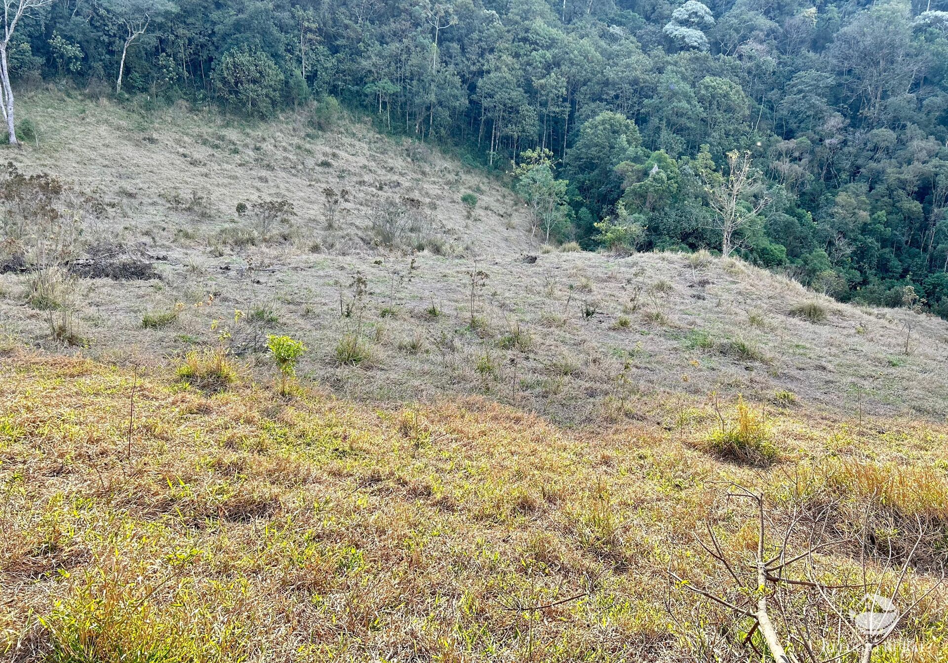 Terreno à venda, 72600m² - Foto 22
