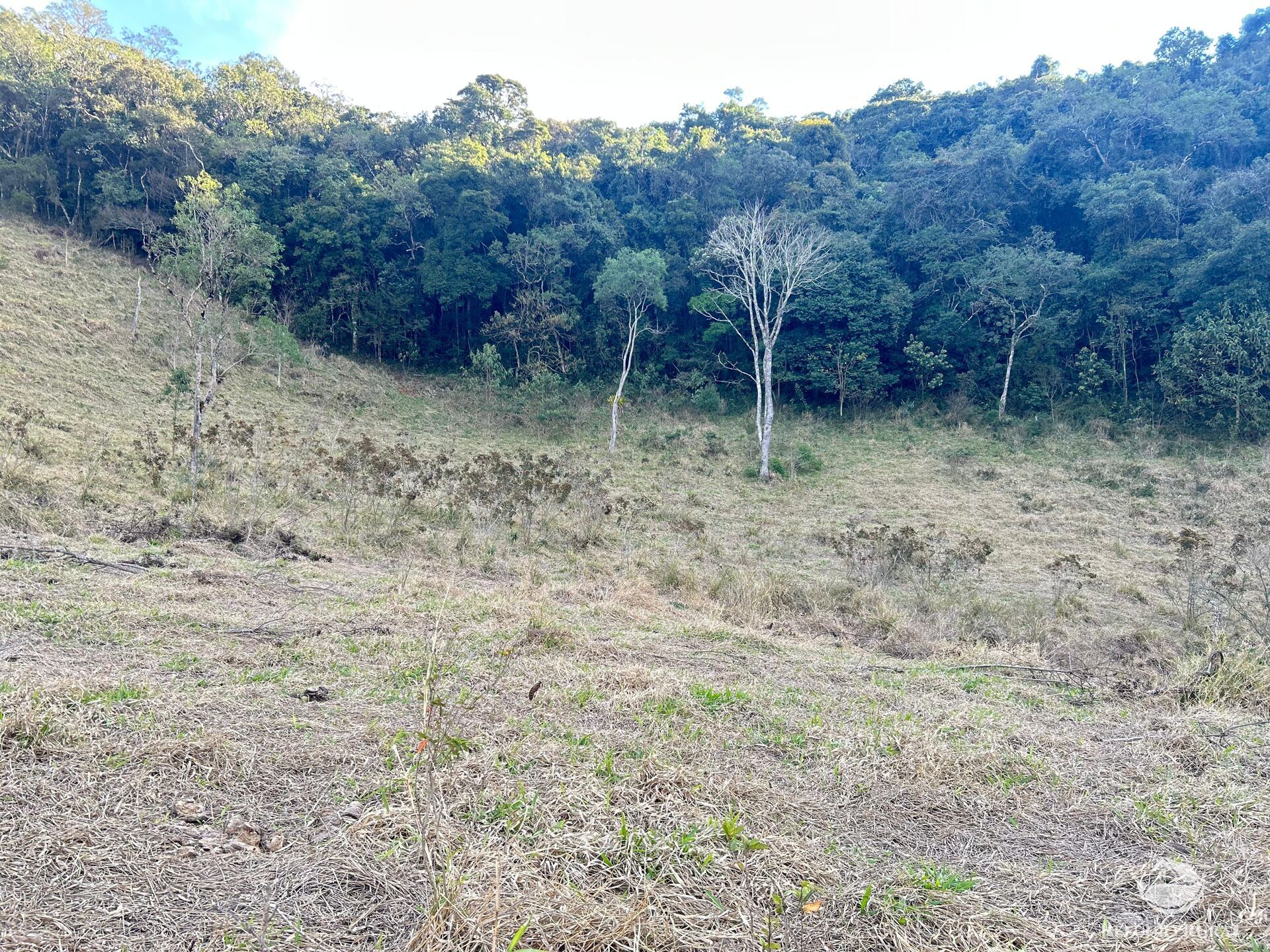 Terreno à venda, 72600m² - Foto 3