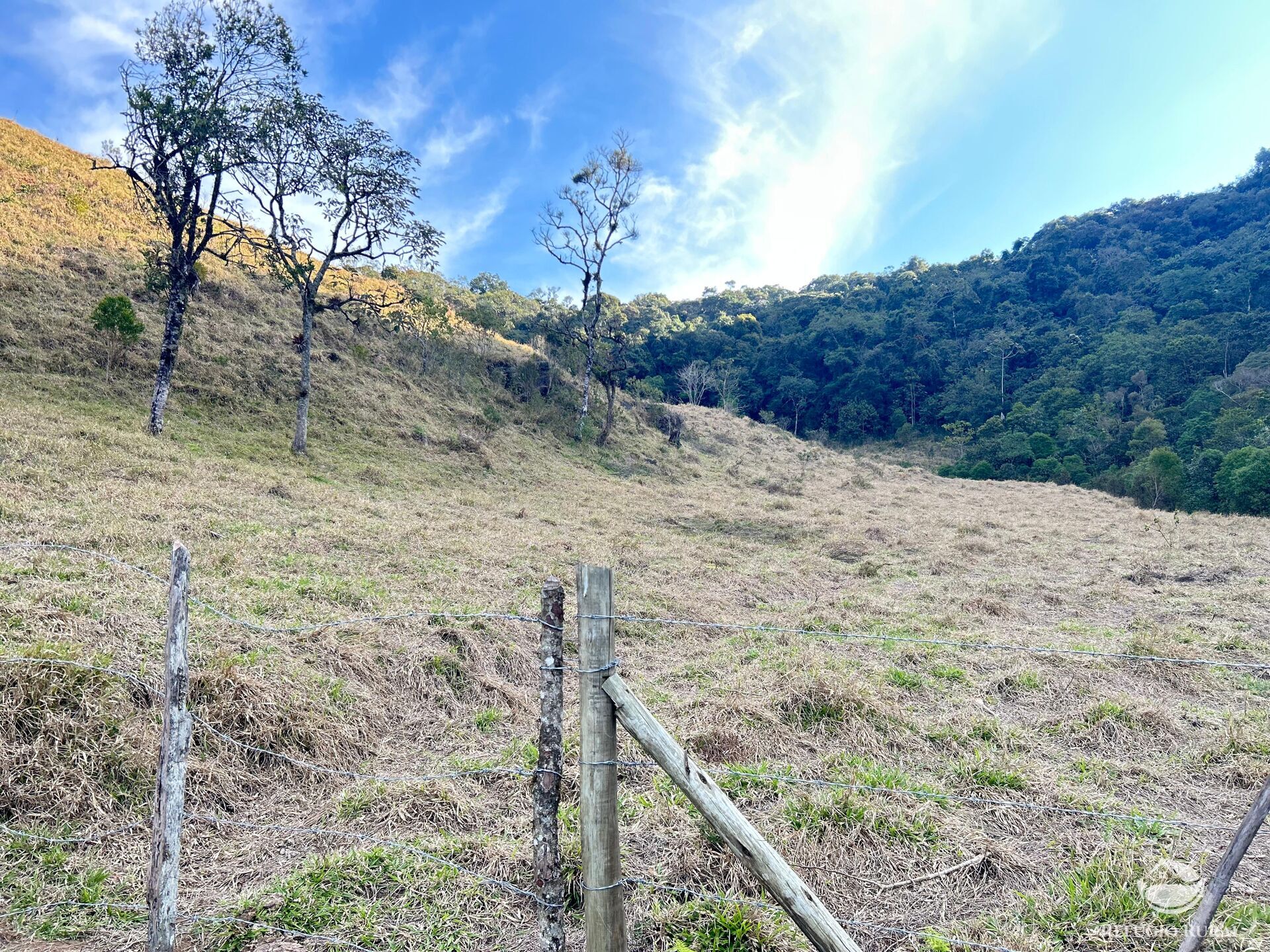 Terreno à venda, 72600m² - Foto 2