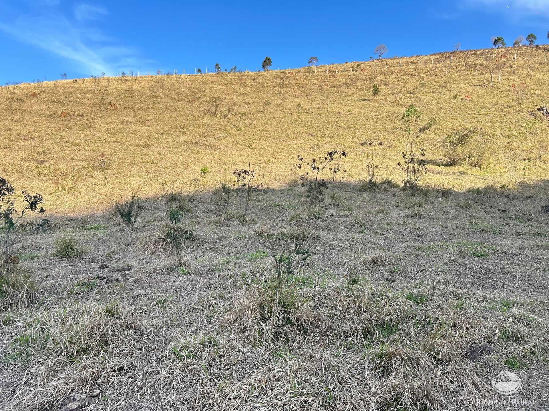 Terreno à venda, 72600m² - Foto 25