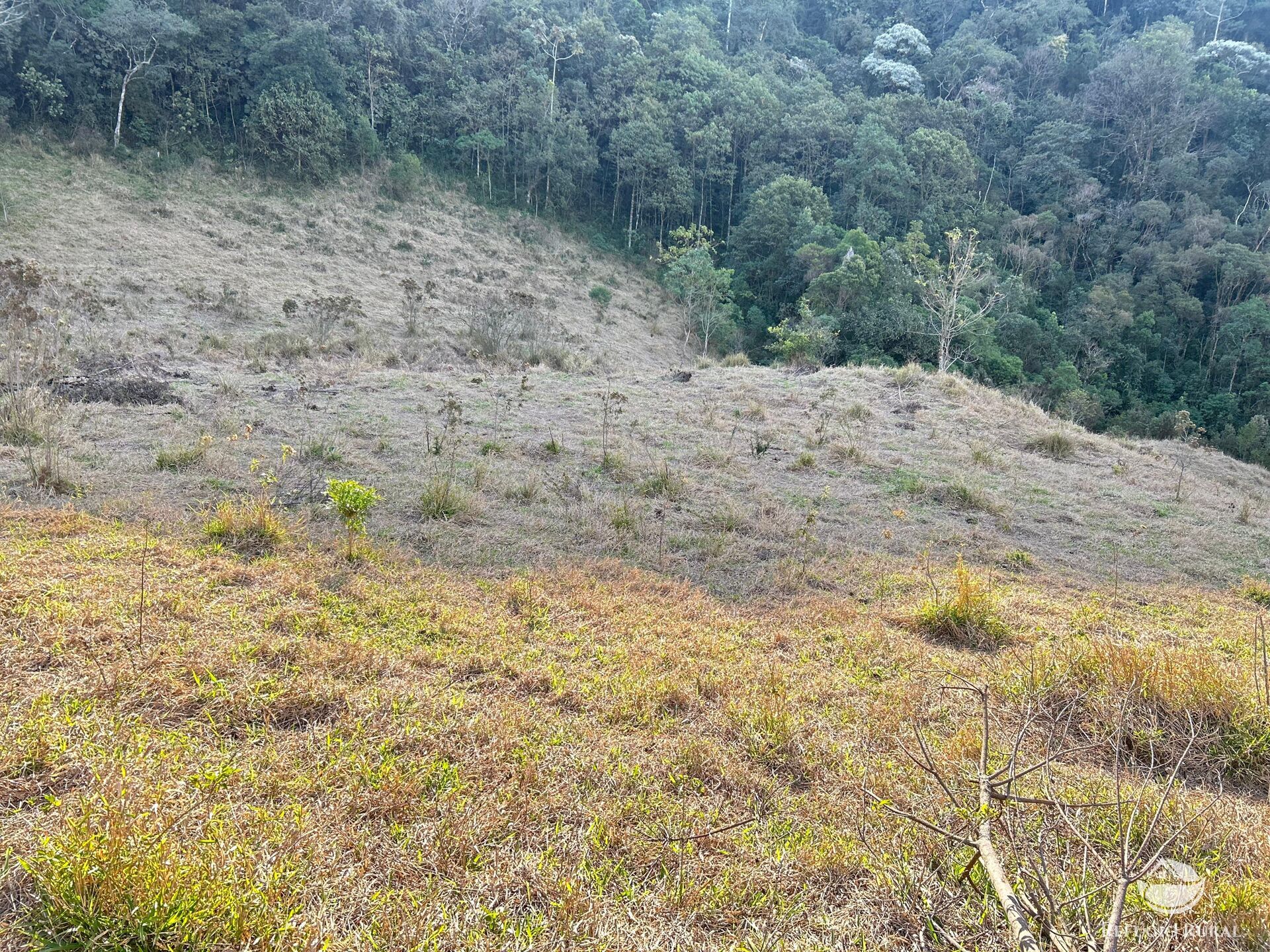 Terreno à venda, 72600m² - Foto 17