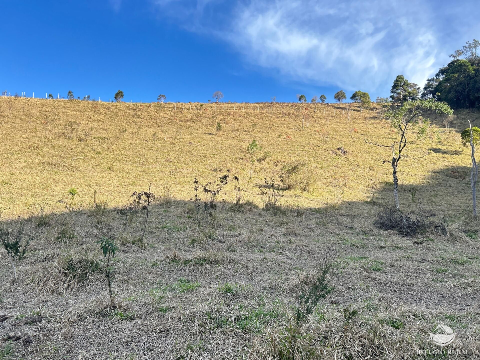 Terreno à venda, 72600m² - Foto 21