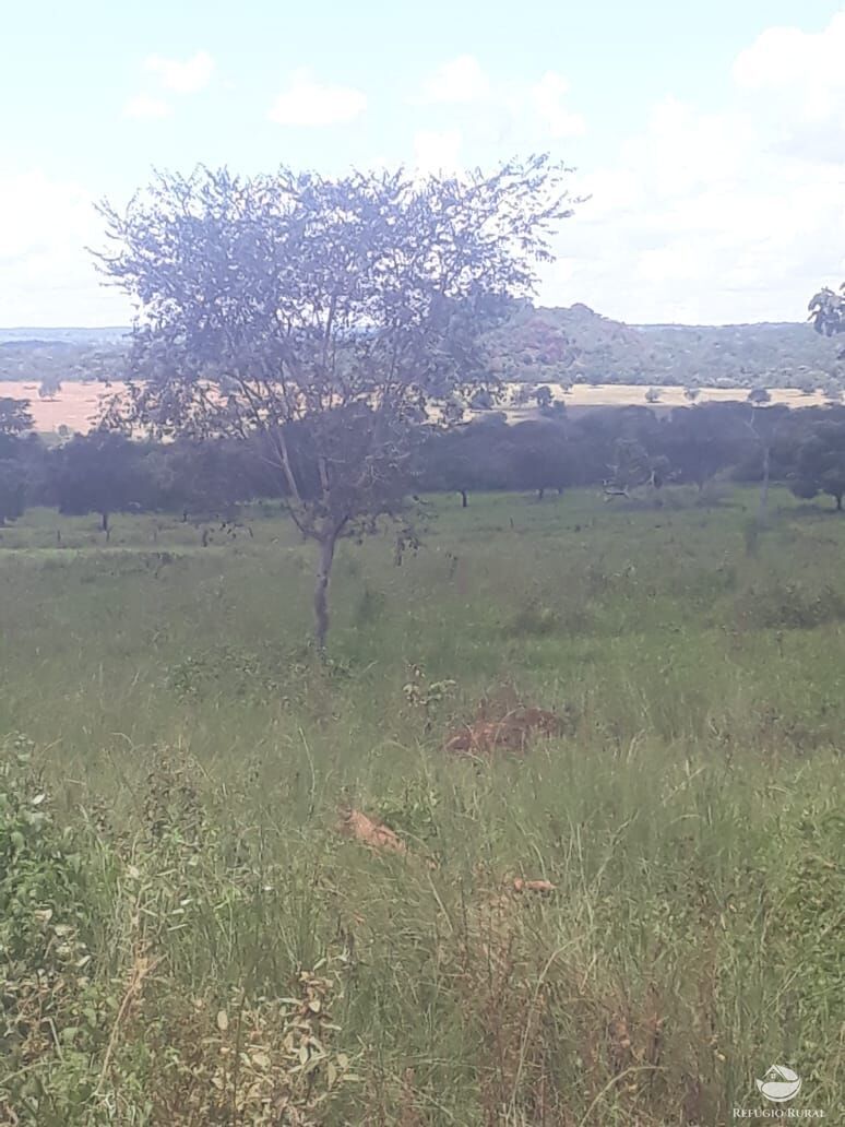 Fazenda à venda com 2 quartos, 41527200m² - Foto 6