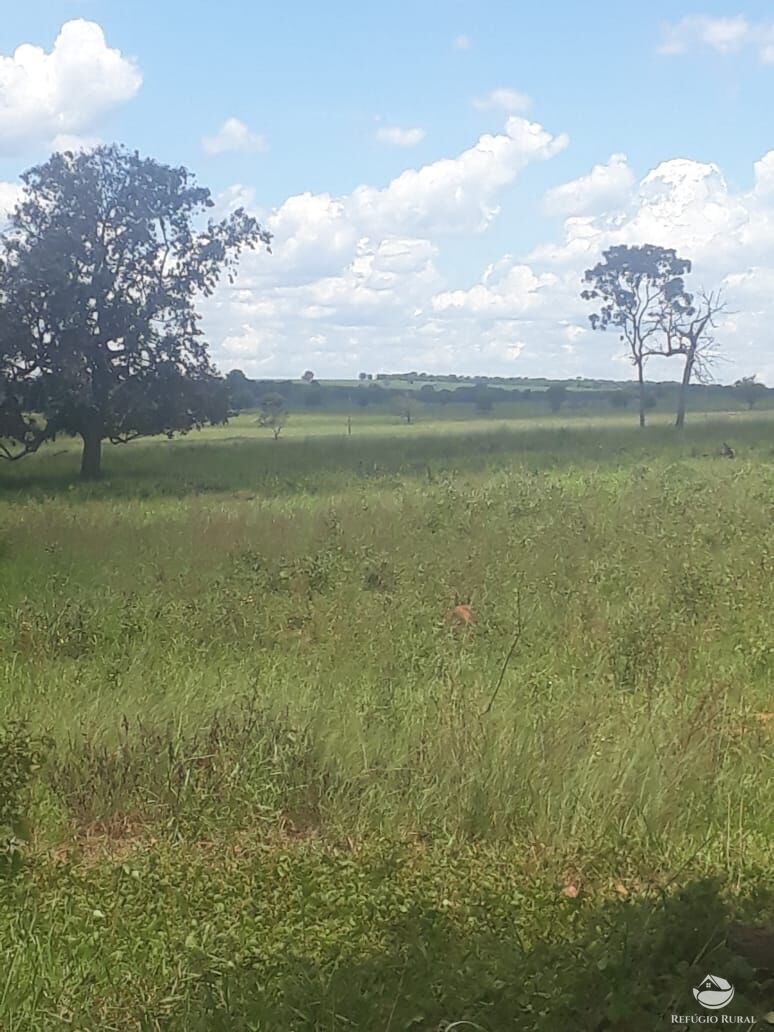 Fazenda à venda com 2 quartos, 41527200m² - Foto 2