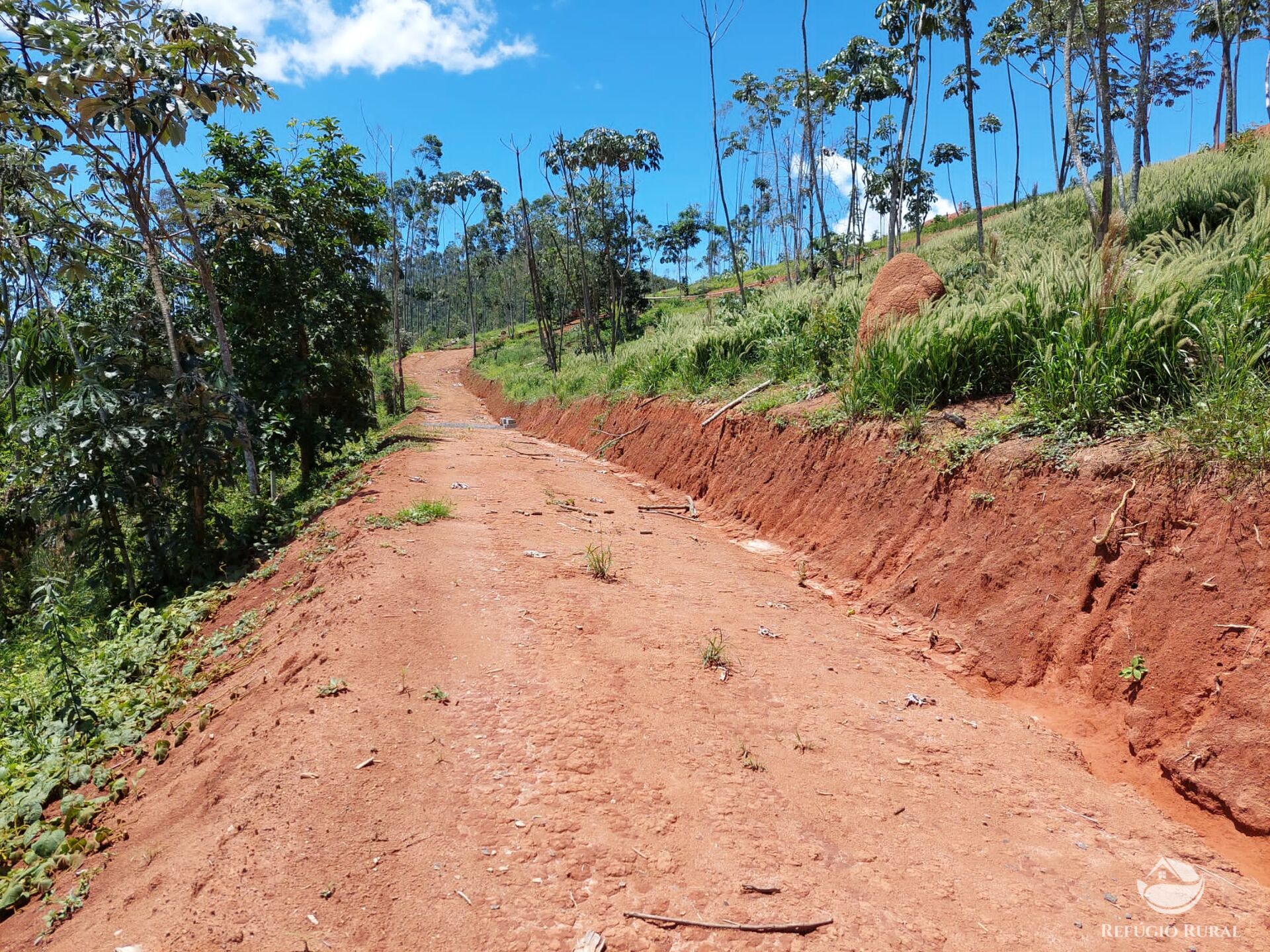 Terreno à venda, 31000m² - Foto 6