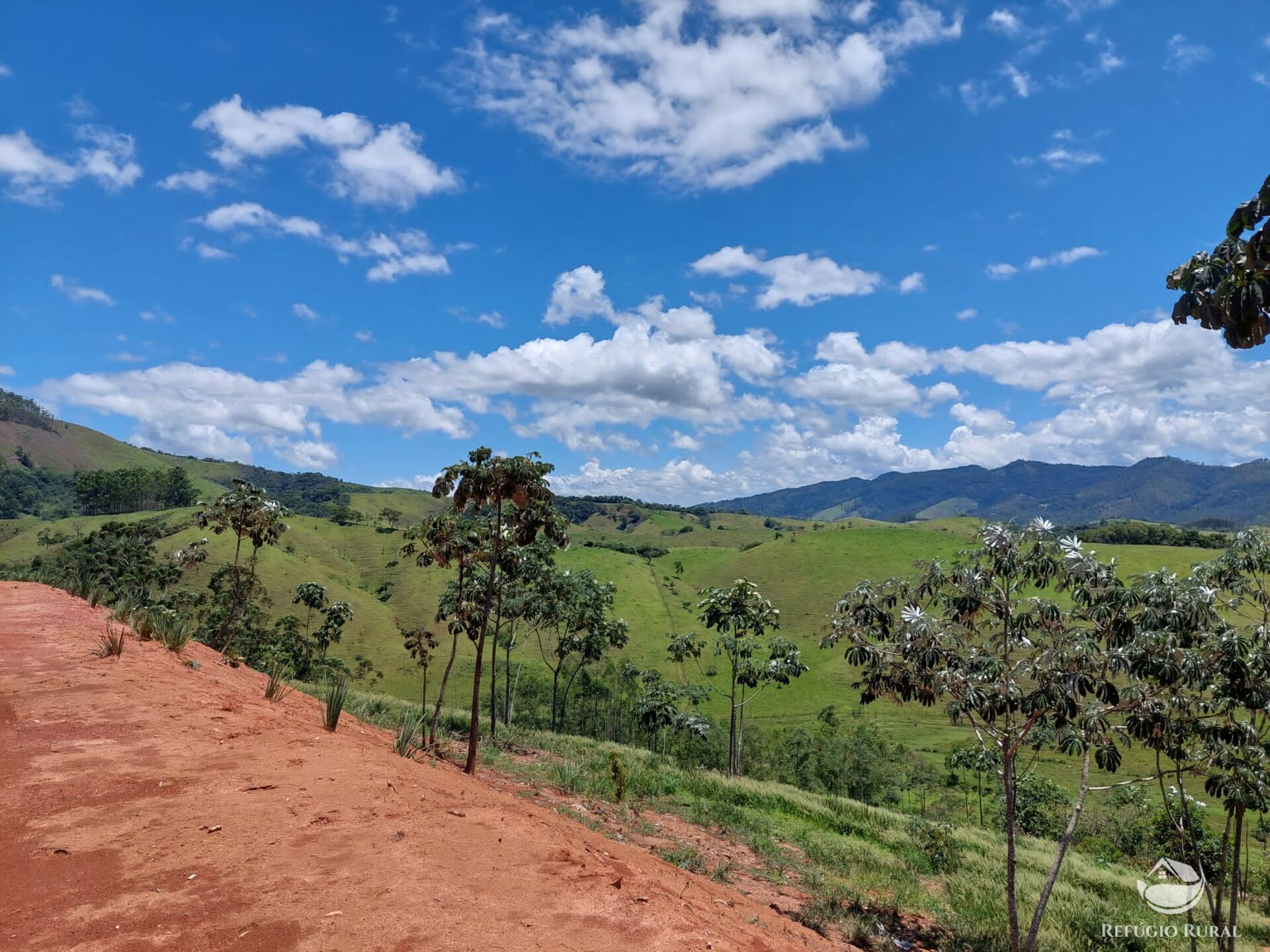 Terreno à venda, 31000m² - Foto 7